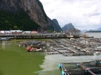 fish farms.JPG (126KB)